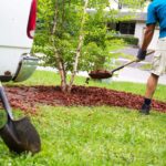 Common Landscaping Problems