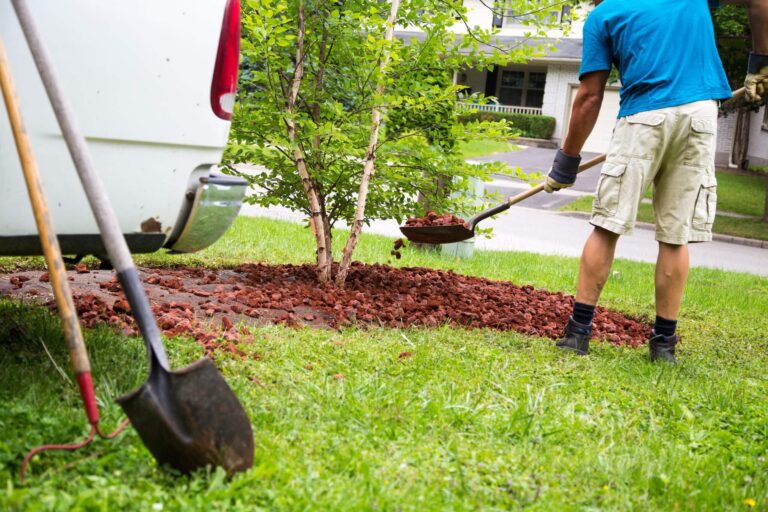 Common Landscaping Problems