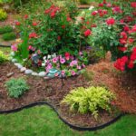 Landscaping Guide, Planning to Installation