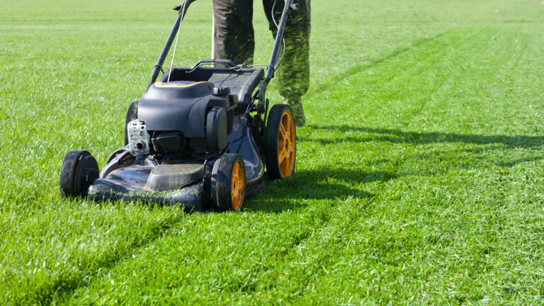 Worker,Guy,Shake,Pour,Grass,From,Lawn,Mower,Bag,Into