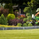 Seasonal Landscape Maintenance Guides