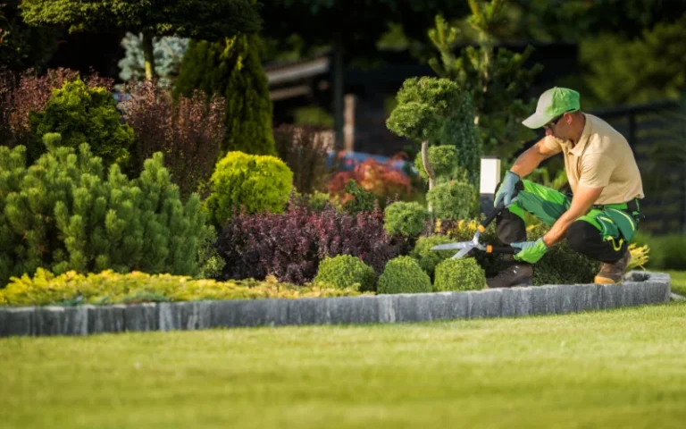 Seasonal Landscape Maintenance Guides