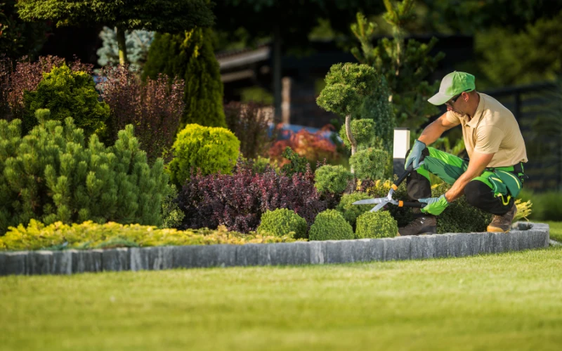 Seasonal Landscape Maintenance Guides