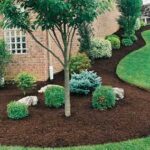 Lawn Edging Techniques