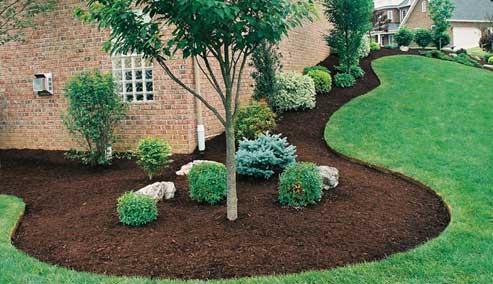 Lawn Edging Techniques